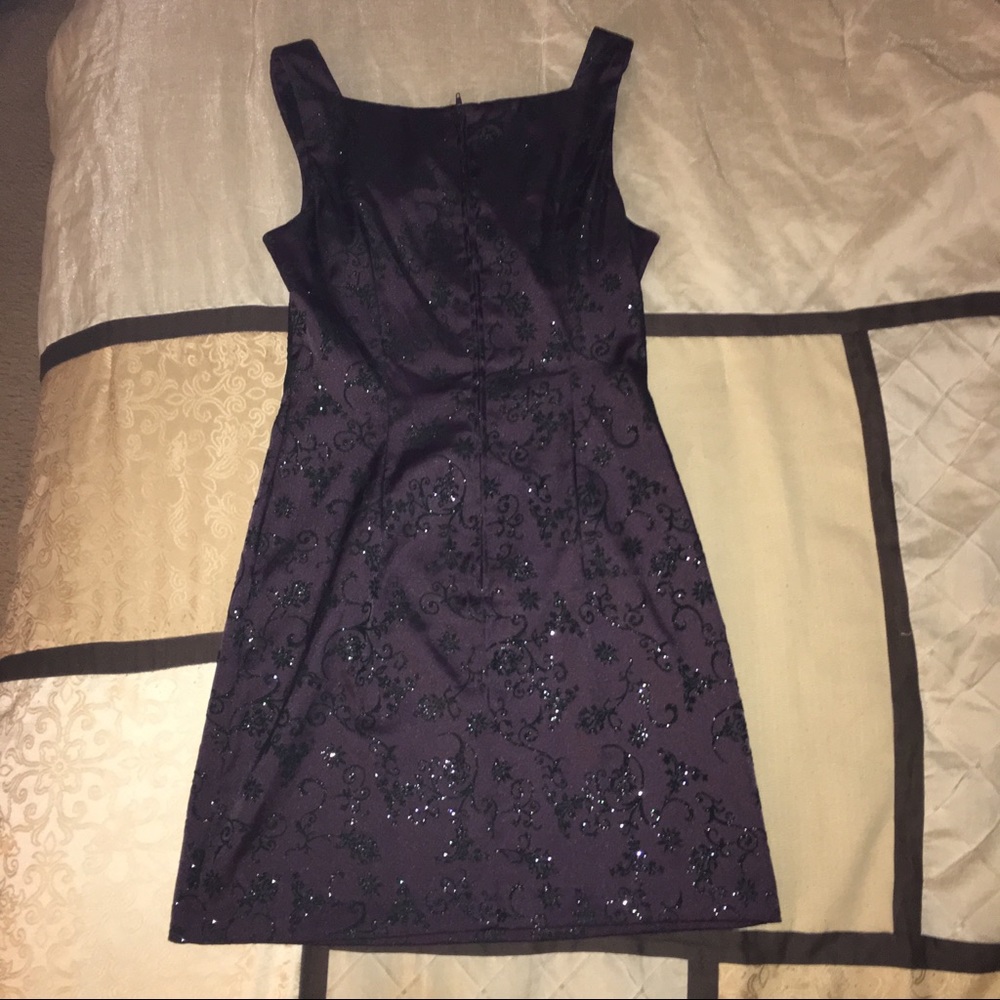Sleeveless Dress Eggplant w Velvet & Sparkles Sz 5